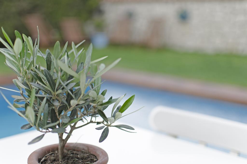 Alacati Roka Hotel Buitenkant foto